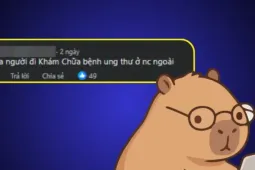 Độc lạ muôn kiểu ngành nghề siêu "niche", không ai cấm nhưng cũng hiếm ai làm