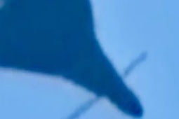 UAV Nga mang 'lưỡi dao' có thể cắt thép, phá đường điện cao thế Ukraine