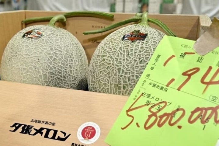 Dưa lưới gần 1 tỷ đồng/cặp có gì đặc biệt?