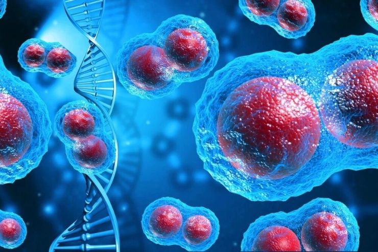 Phát hiện “điểm yếu chí mạng” trong DNA giúp ung thư phát triển - 1