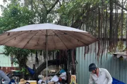 Thịt đông lạnh nhập khẩu: Mua càng nhiều, giá càng rẻ