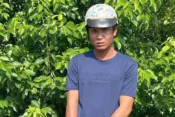 Vĩnh Long: Truy bắt nhanh đối tượng chặn đường, hiếp dâm cô gái trẻ