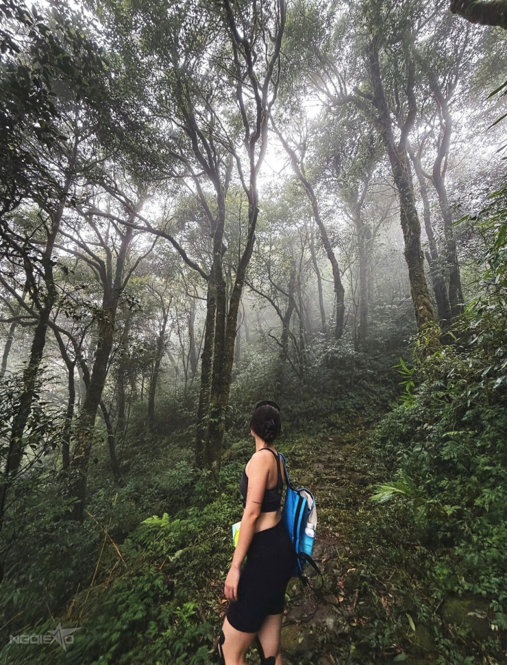 Pavie - đường đá cổ hơn 100 năm tuổi ở Lai Châu hút tín đồ trekking - 5