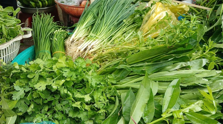 Ngò rí, hành chỉ được bán tại một sạp rau ở chợ Xóm Mới, phường An Hội Đông (TP HCM) sáng 8/10. Ảnh: Thi Hà