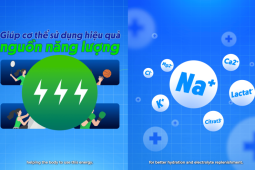 Revive Thể Thao: Bí quyết nâng cao sức bền, bứt phá giới hạn của các tuyển thủ quốc gia