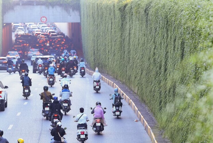 Hầm chui, trụ cầu Hà Nội trước ngày được phủ xanh cây lá