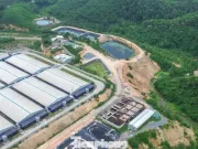 Xử phạt loạt trang trại nuôi gần 80.000 con lợn