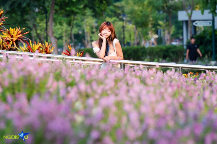 Nàng thơ 'đội nắng' săn ảnh bên thảm hoa violet Nhật nở rộ - 5