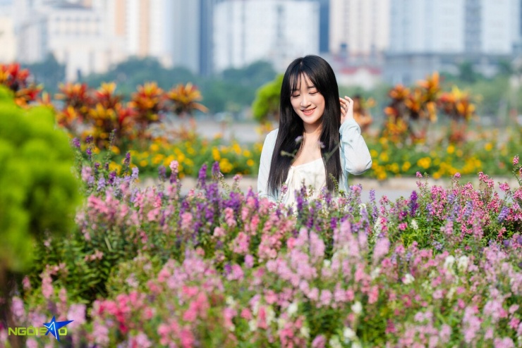 Nàng thơ 'đội nắng' săn ảnh bên thảm hoa violet Nhật nở rộ - 4