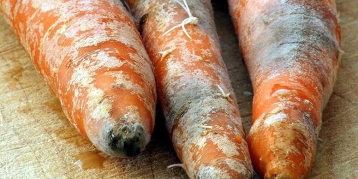 Một số rau củ cứng có thể cắt phần mốc