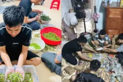 ‘Bão đơn’ ớt muối sau lời cầu cứu đừng mua hàng của vợ