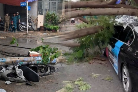 Hai cây phượng đổ kéo theo ba trụ điện, đè ôtô, xe máy ở TP HCM