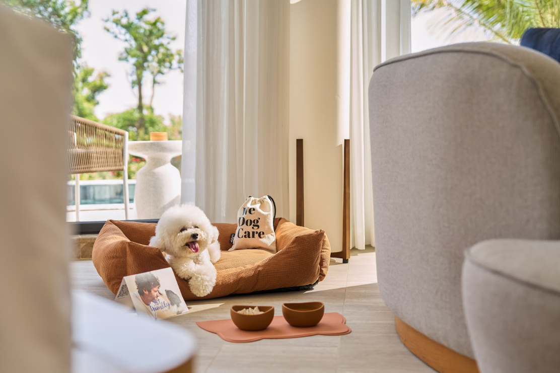 Gói trang bị Pet-friendly của Melia Serenity Cam Ranh. Ảnh: Meliá Serenity Cam Ranh