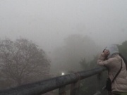Mùa đông sẽ biến mất vào giữa đến cuối thế kỷ này