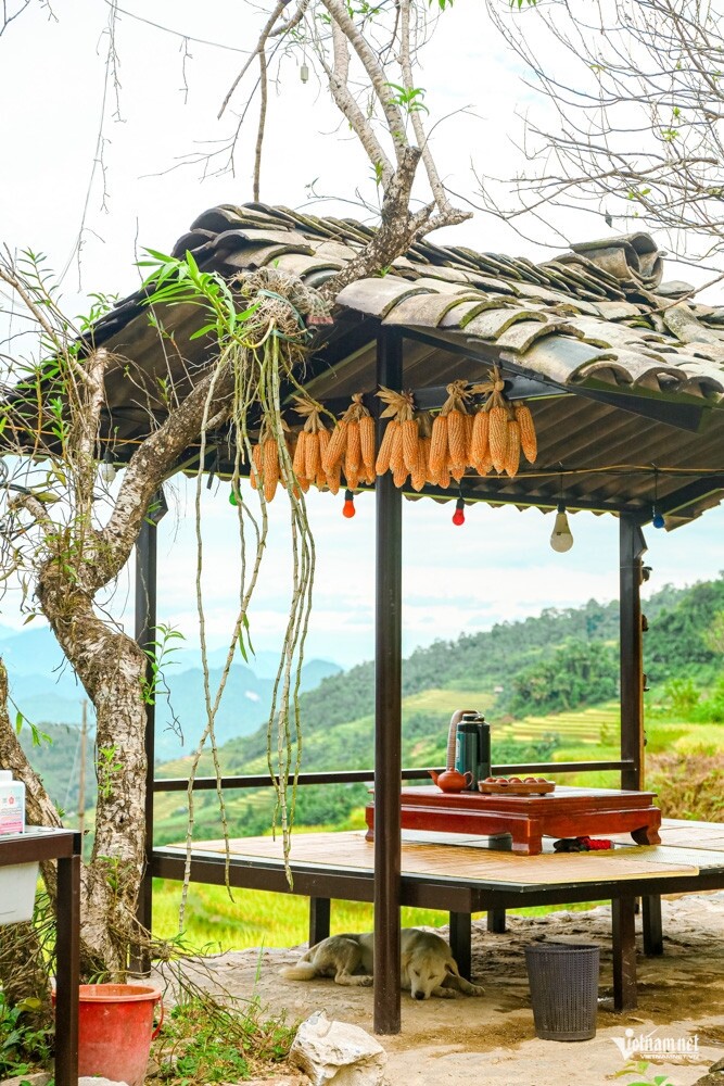 Nhiều chòi ngắm cảnh được người dân dựng dọc các triền ruộng, tạo điểm dừng chân để du khách thưởng ngoạn mùa vàng Khuổi My.