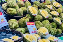 Sầu Riêng Việt Nam liên tục đón tin vui mới, chính thức có ‘visa’ vào thị trường tỷ dân của thế giới
