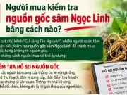 Người mua kiểm tra nguồn gốc sâm Ngọc Linh bằng cách nào?