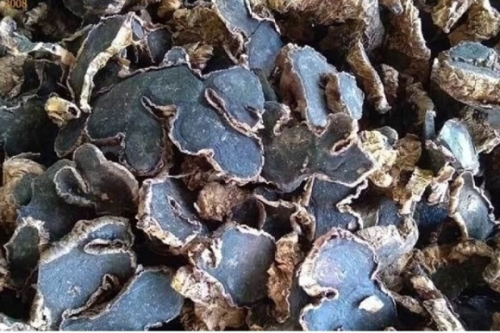 Dược liệu quý có màu đặc biệt, cực tốt cho sức khỏe xương khớp và trí nhớ