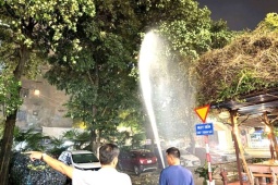 12 cây hoa sữa nở rộ quanh chung cư ở Hà Nội, người dân dùng vòi cao áp phun rụng