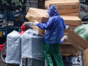 Mùa đông năm nay rất ấm, ít có rét đậm rét hại