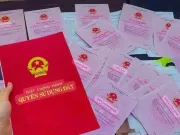 Ngoài “rắc thóc lùa gà”, “Shark” Bình còn “phù phép” sổ sách kế toán để trục lợi