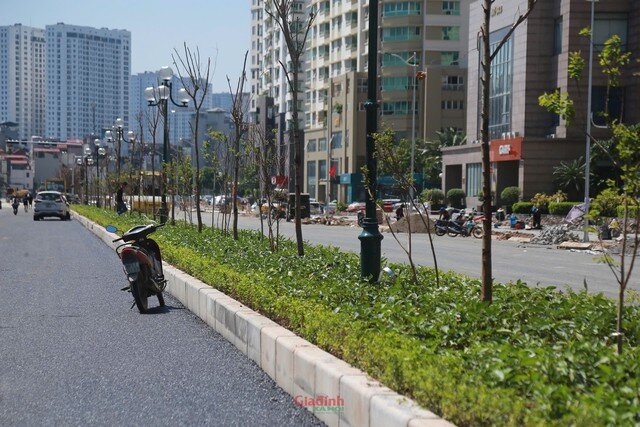 Nước rút thi công Vành đai 2.5 đoạn Cầu Giấy - Dịch Vọng trước ngày thông xe - 3