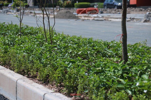Nước rút thi công Vành đai 2.5 đoạn Cầu Giấy - Dịch Vọng trước ngày thông xe - 9