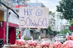 Trứng gà giá rẻ len lỏi đến tận nhà