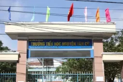 Gia Lai làm rõ vì sao 3 nguyên hiệu trưởng xuống làm giáo viên?