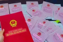 Ngoài “rắc thóc lùa gà”, “Shark” Bình còn “phù phép” sổ sách kế toán để trục lợi