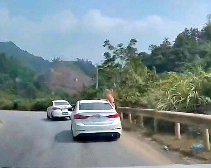 Hình ảnh du khách đu bám trên cửa xe đang chạy. Ảnh: Công an tỉnh Cao Bằng. 