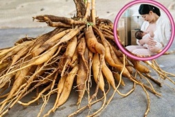 Tin tức sức khỏe - Kỳ lạ loài cây “trăm chồng” giúp hỗ trợ tăng tiết sữa, lợi sữa cho mẹ sau sinh