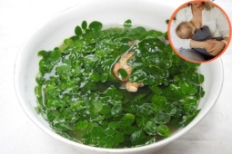 Tin tức sức khỏe - “Siêu thực phẩm” mọc đầy hàng rào được nhiều mẹ sau sinh ít sữa coi như “báu vật”
