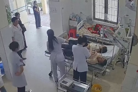 Hai vợ chồng bị ong tấn công, bác sĩ gỡ 49 con ong trên đầu người vợ