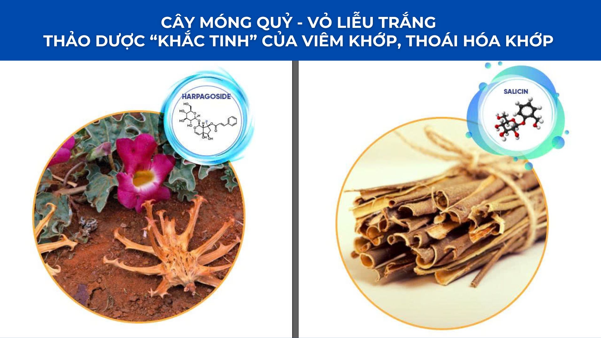 Tắm kiểu này chẳng mấy mà khiến cơn đau nhức xương khớp “bùng lên” - 3