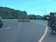 Xác minh vụ nhóm người ngồi chụp ảnh giữa khúc cua trên đèo Hải Vân