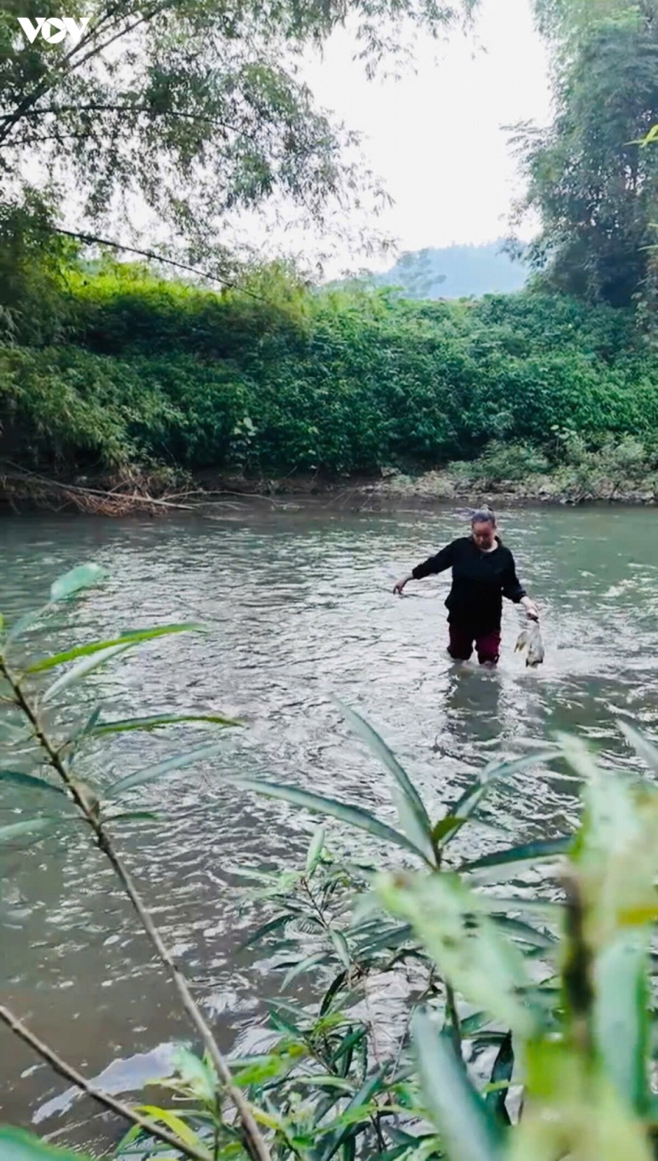 Người dân vớt những con vịt chết bất thường dưới suối