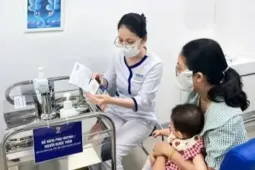 Bộ Y tế phát cảnh báo sau chùm ca não mô cầu khiến một học sinh tử vong ở TPHCM