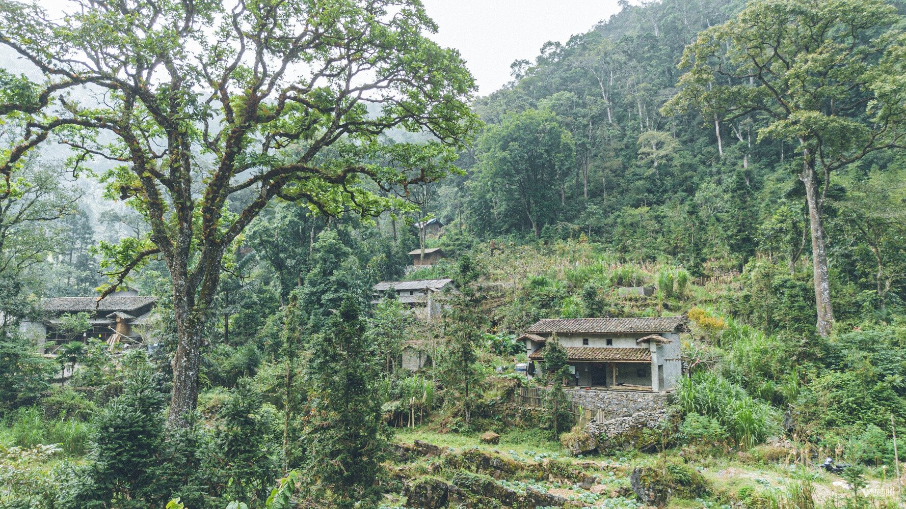 Bên trong 'làng Địa ngục' ở Yên Minh - 7