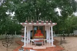 Du khách Pháp tố bị nhà sư quấy rối khi tham quan chùa