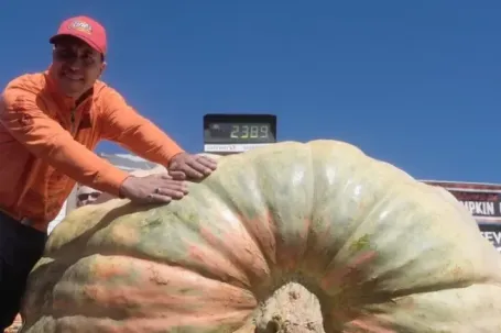 'Ông vua bí ngô' nặng 1,4 tấn của mùa Halloween năm nay