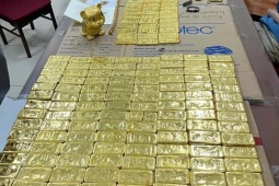 Cuộc tẩu tán tài sản 'thần tốc' của bố mẹ Mr Pips trong ngày con bị bắt