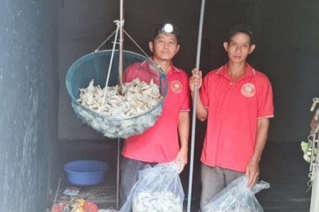 Dân Đồng Tháp nuôi thứ chim gì ví như "con tiền tỷ", liên kết thành công, bán sản phẩm bổ dưỡng ra "chợ thế giới"?