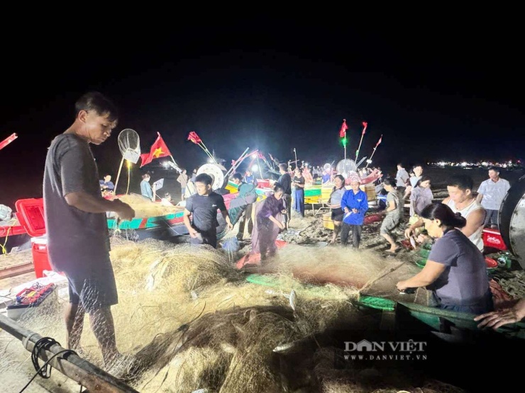 Ngư dân khẩn trương gỡ cá bạc má khỏi lưới sau chuyến vươn khơi. Ảnh: Hồ Thỏa.