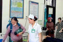 27 học sinh nhập viện do ong tấn công