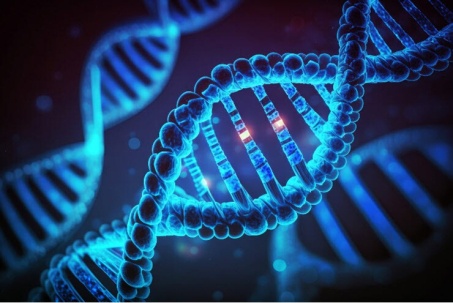 Các nhà khoa học có thể đã giải mã bí ẩn tỷ năm về sự tiến hóa của DNA