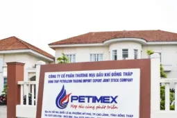 Thanh tra Chính phủ đề nghị điều tra vụ Petimex bán 185 triệu lít xăng dầu không hóa đơn