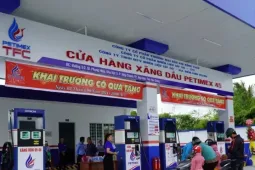 Vụ Petimex bị đề nghị khởi tố: Hé lộ 'sức khỏe' doanh nghiệp hiện nay