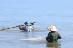 Nghề 'đi giật lùi' kiếm bộn tiền lúc sáng sớm