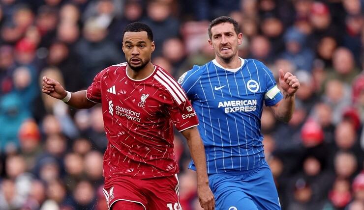 Trực tiếp bóng đá Liverpool - Brighton: Bảo vệ mành lưới (Ngoại hạng Anh) (Hết giờ) - 3